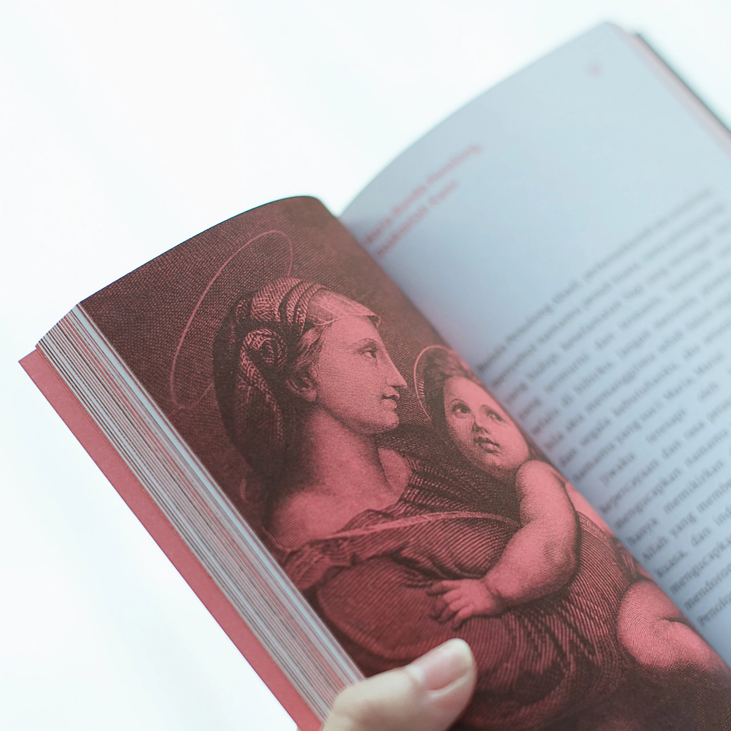 Illustrated Book #2