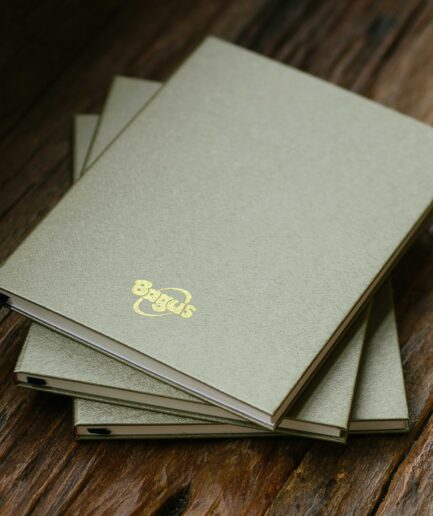 Notebook #6