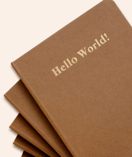 Notebook #12