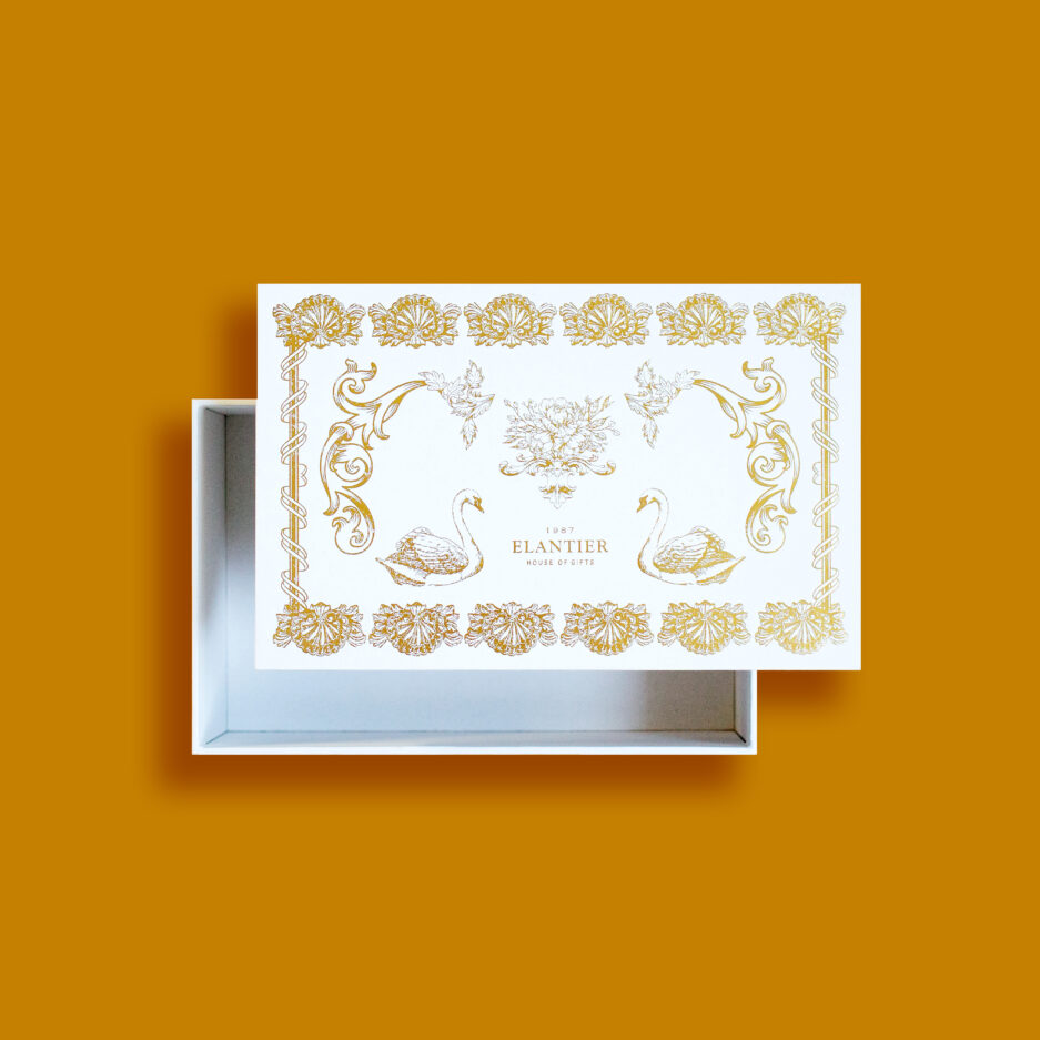 Hard Box Packaging #7