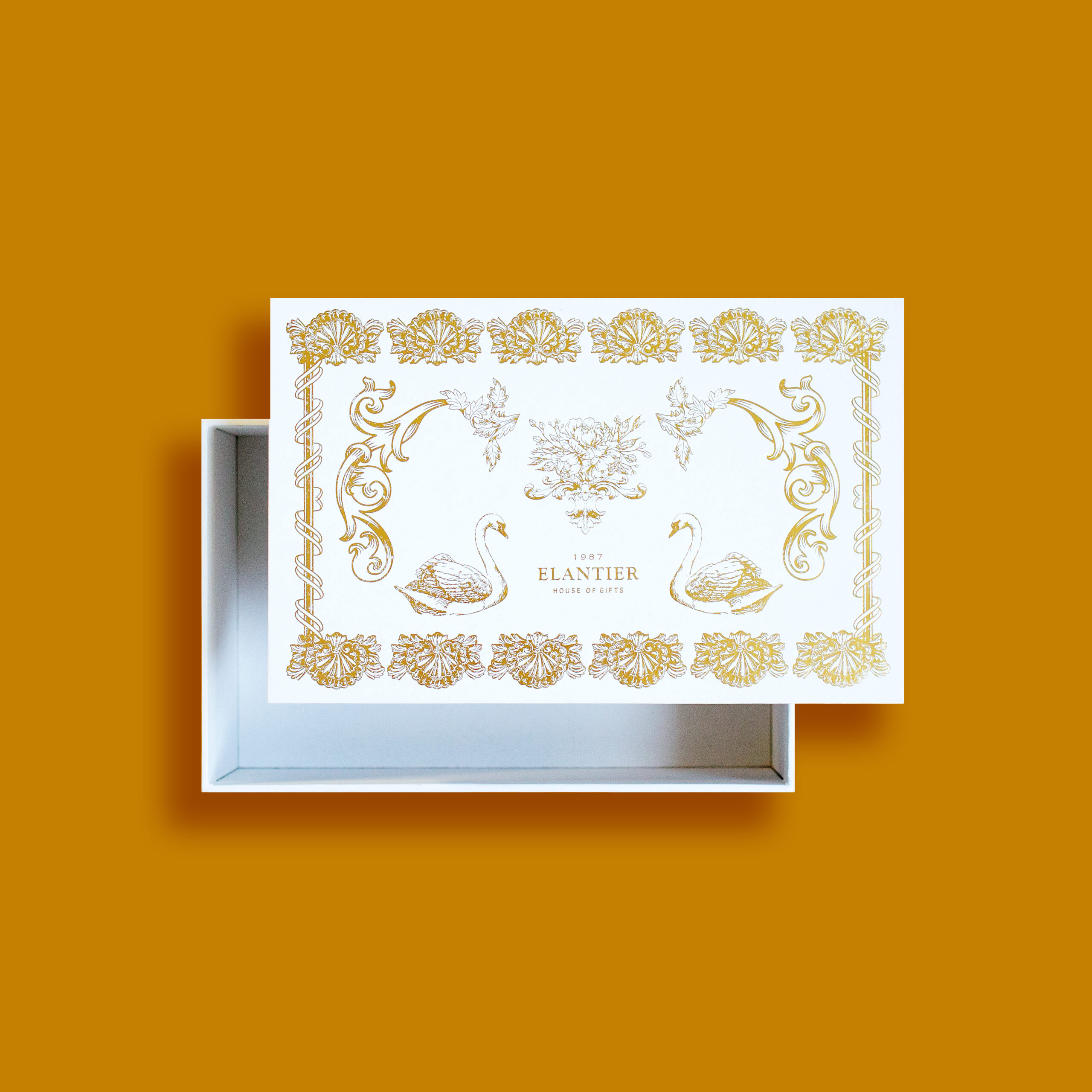Hard Box Packaging #7