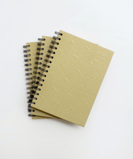 Notebook #10