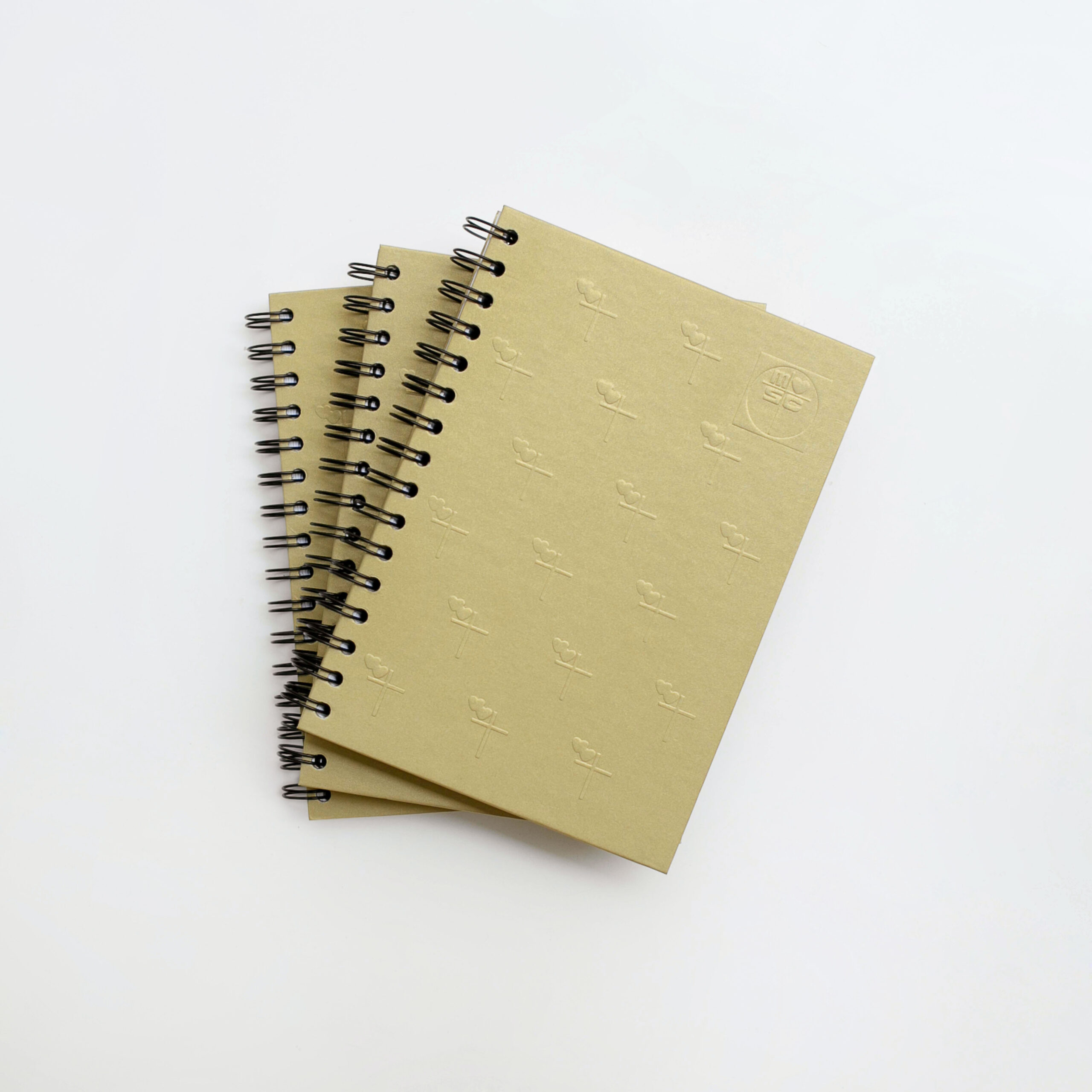 Notebook #10
