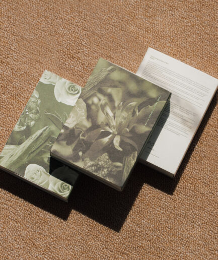 Soft Box Packaging #45