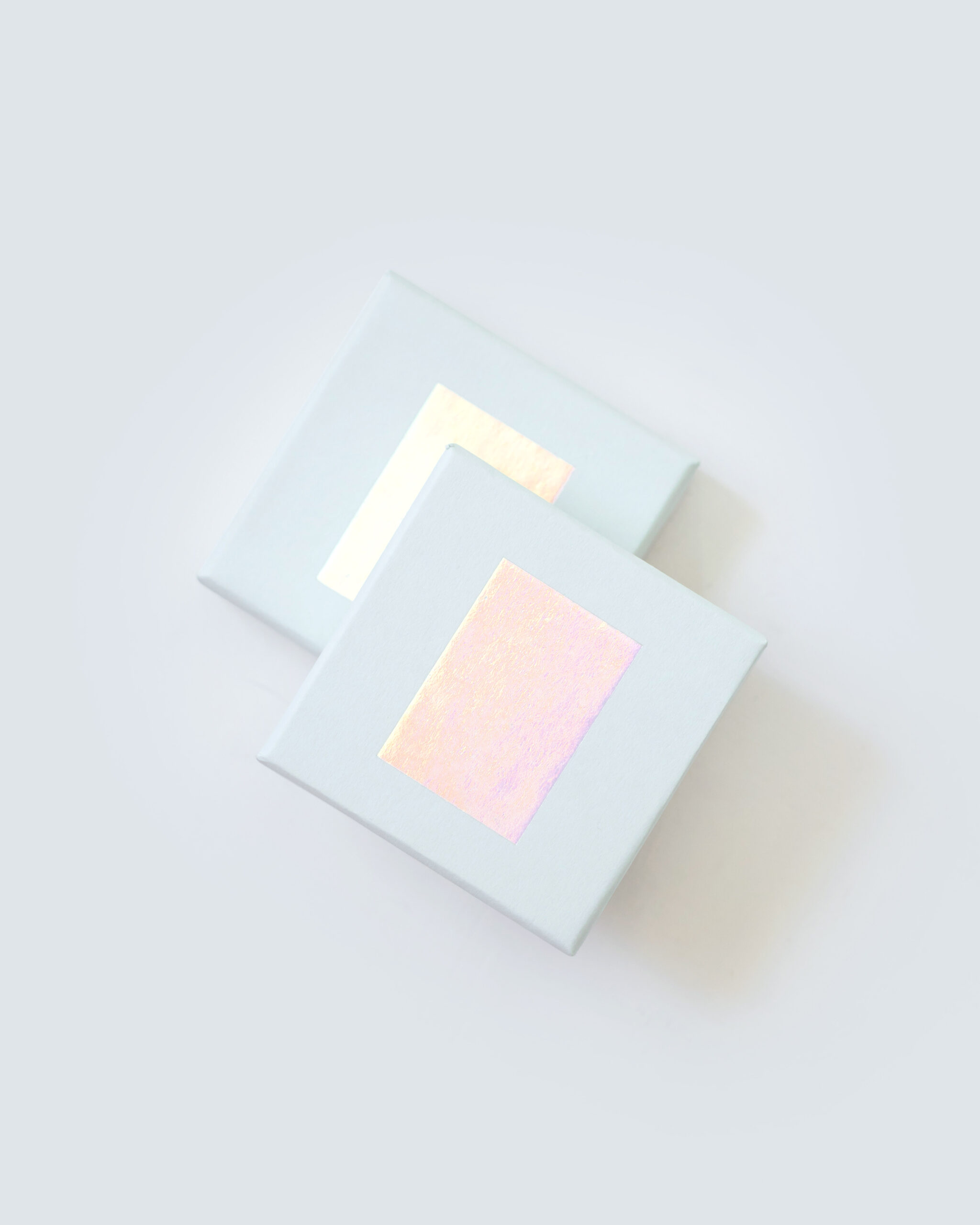 Hard Box Packaging #17