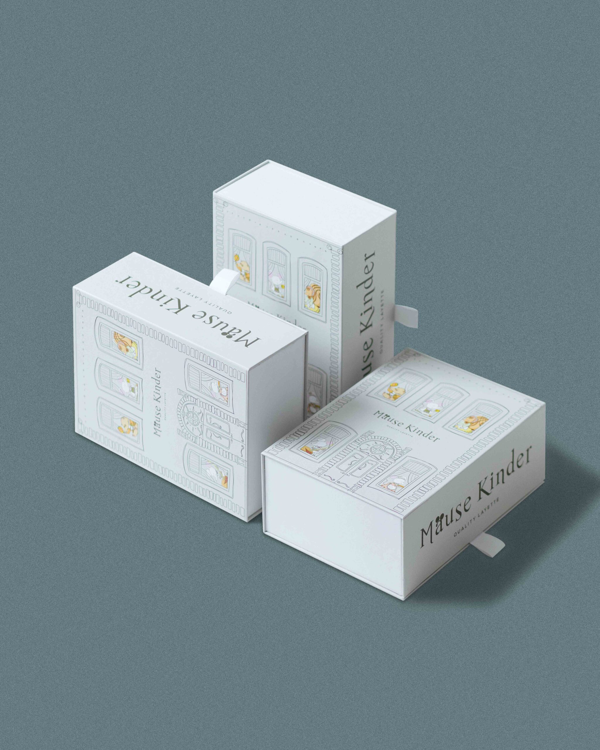 Hard Box Packaging #19