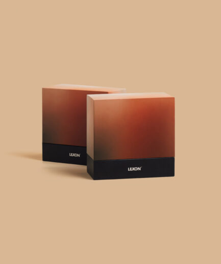 Hard Box Packaging #21