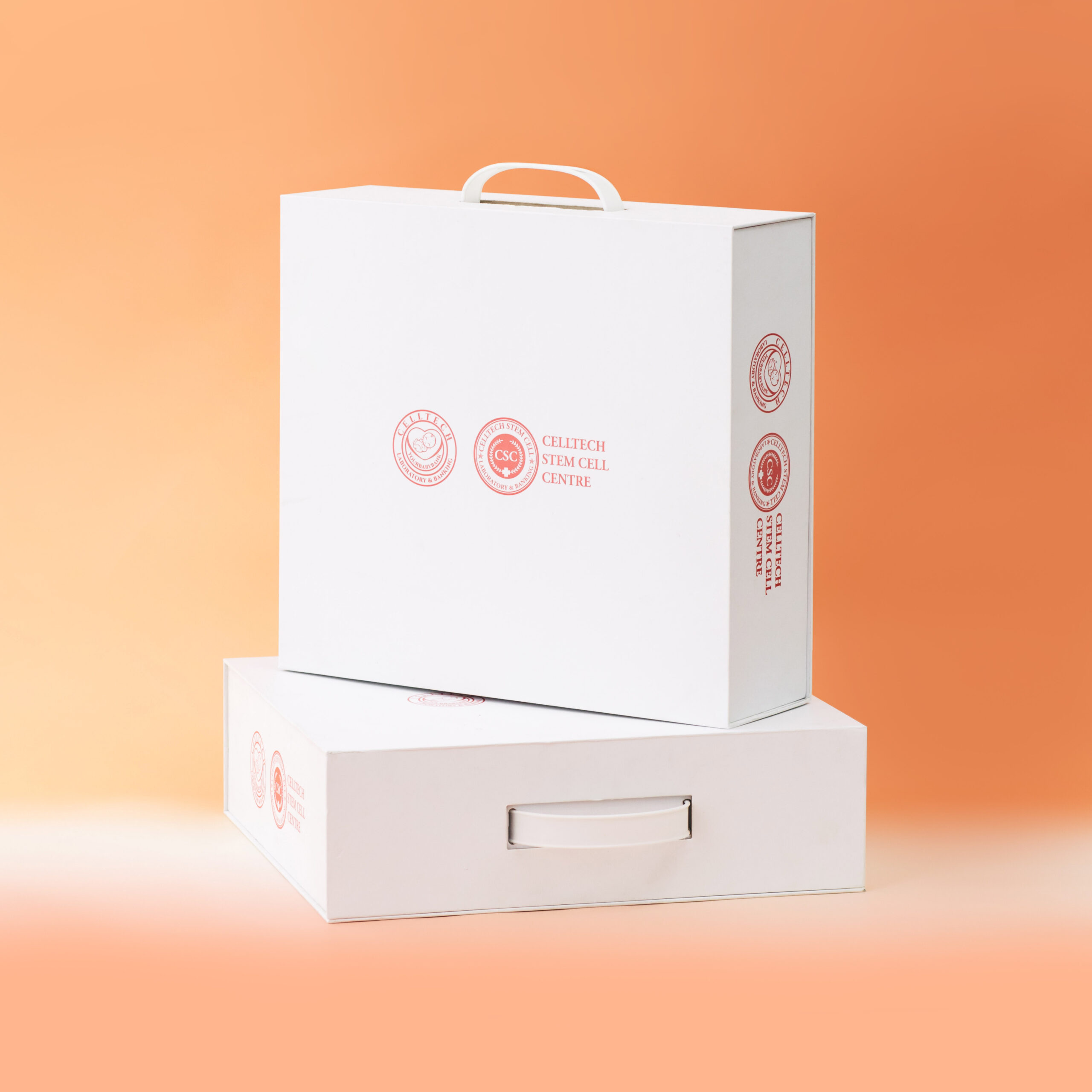 Hard Box Packaging #23